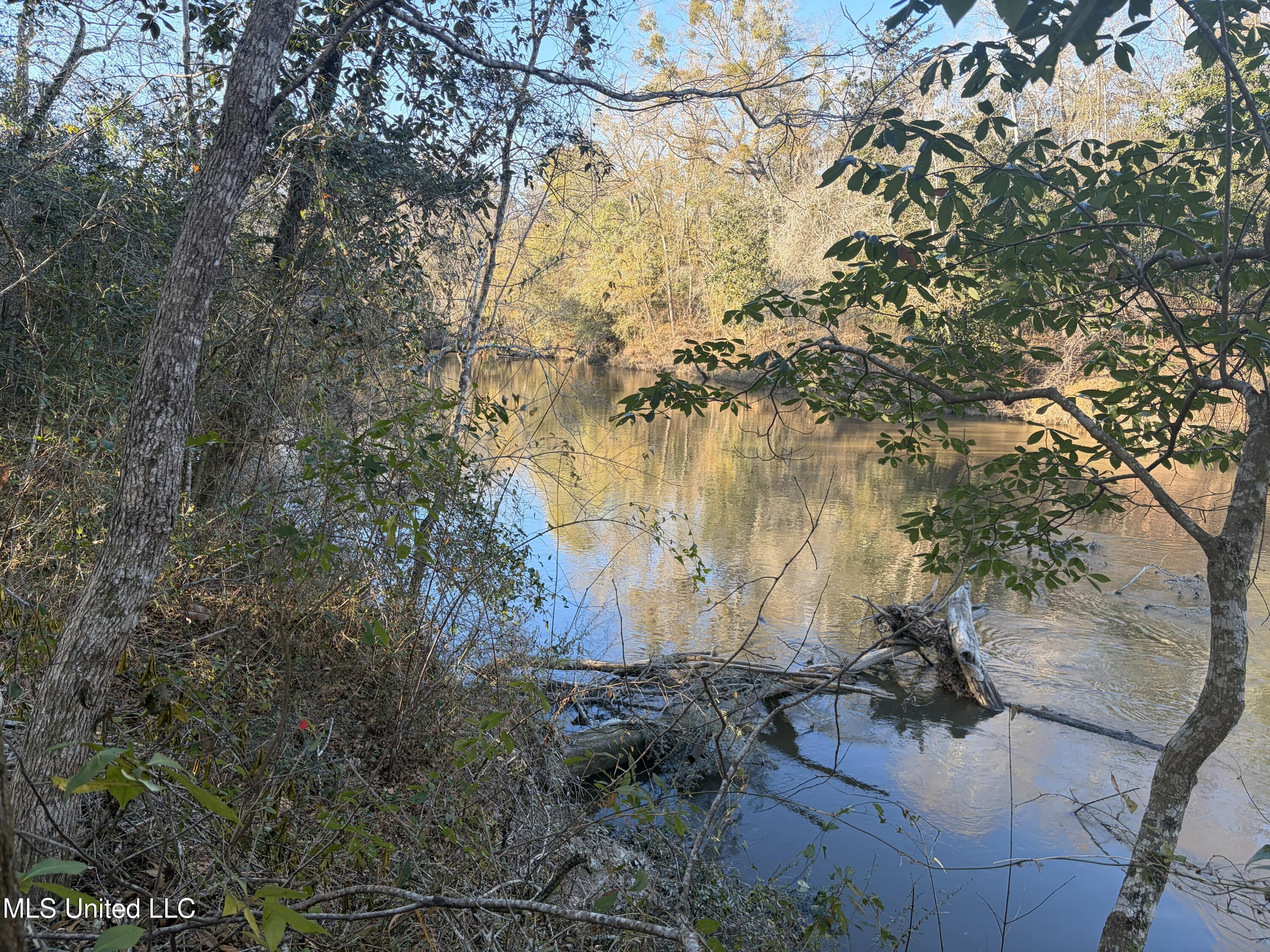 Nhn River Road Gulfport, MS 39503 - Photo 7 of 48 Three Rivers Frontage