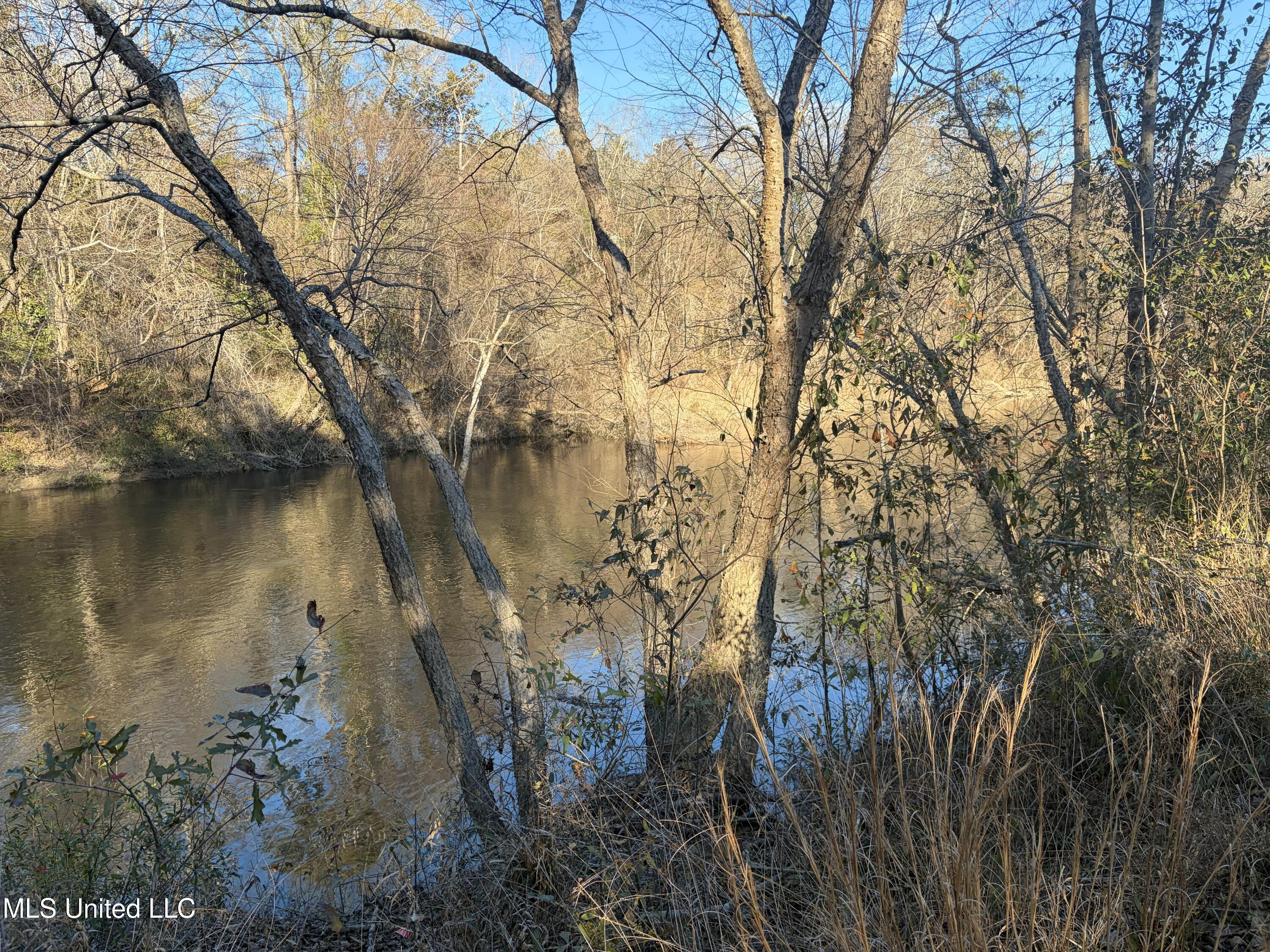Nhn River Road Gulfport, MS 39503 - Photo 8 of 48 Three Rivers Frontage