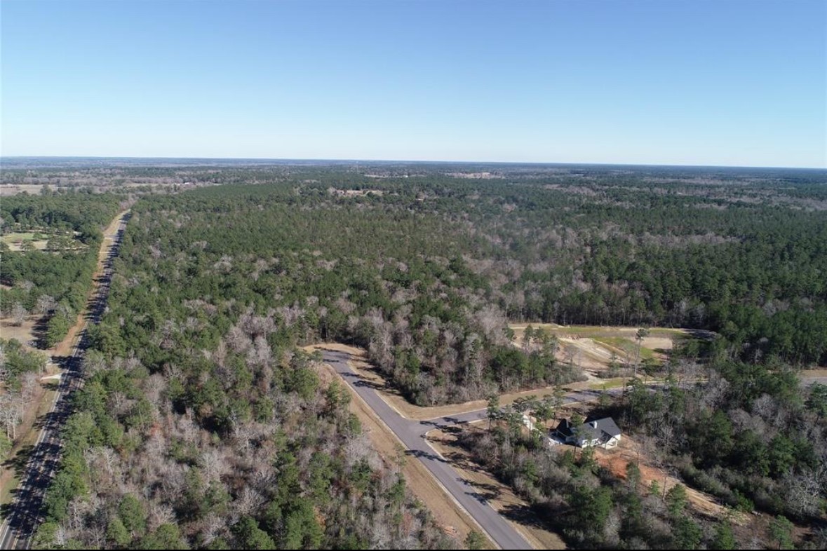 317 Iron Horse Road New Waverly, TX 77358 - Photo 5 of 7 an aerial view of house with yard and mountain view in back