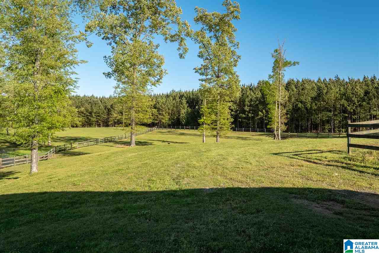182 Rosie Road Arley, AL 35541 - Photo 34 of 35