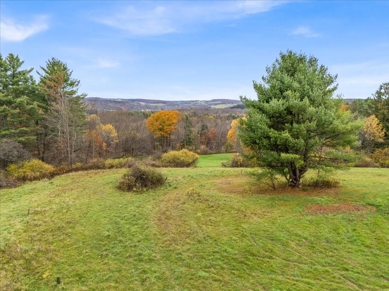 759 Hotchkiss Hill Road Greene, NY 13778 - Photo 33 of 48