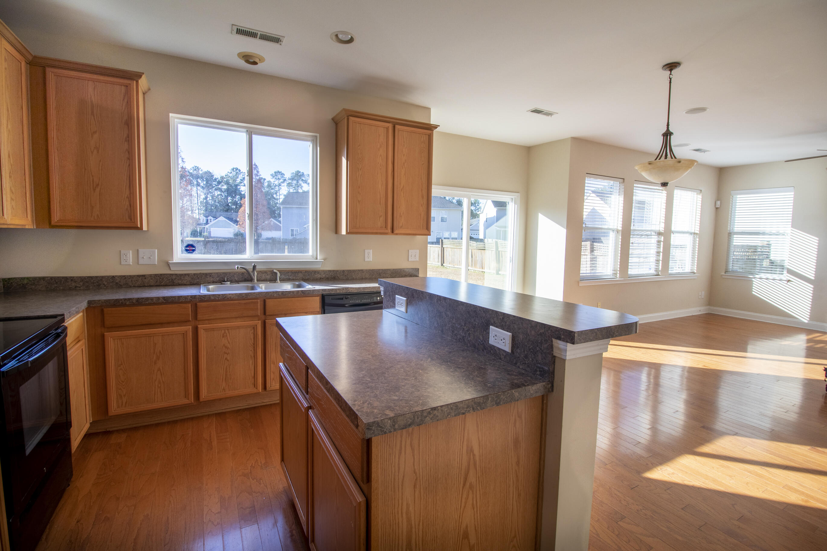 247 Woodbrook Way Moncks Corner, SC 29461 - Photo 11 of 20 3246 High Rez-9