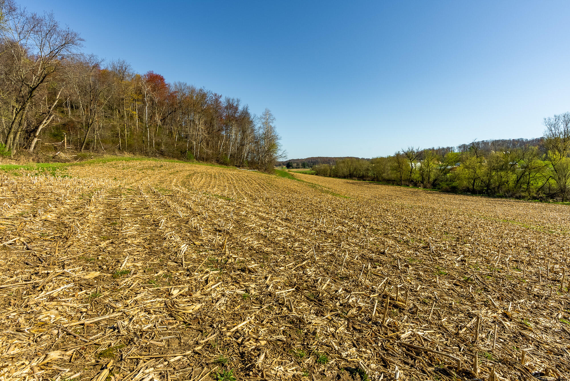 Lt2 Eli Valley Road Hillpoint, WI 53937 - Photo 18 of 47 Sauk-County-WI-53-Acres-Land-For-Sale-18