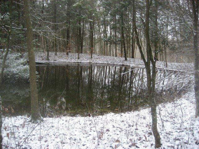 181 Driscoll Road Mount Eden, KY 40046 - Photo 7 of 23 Photo 7