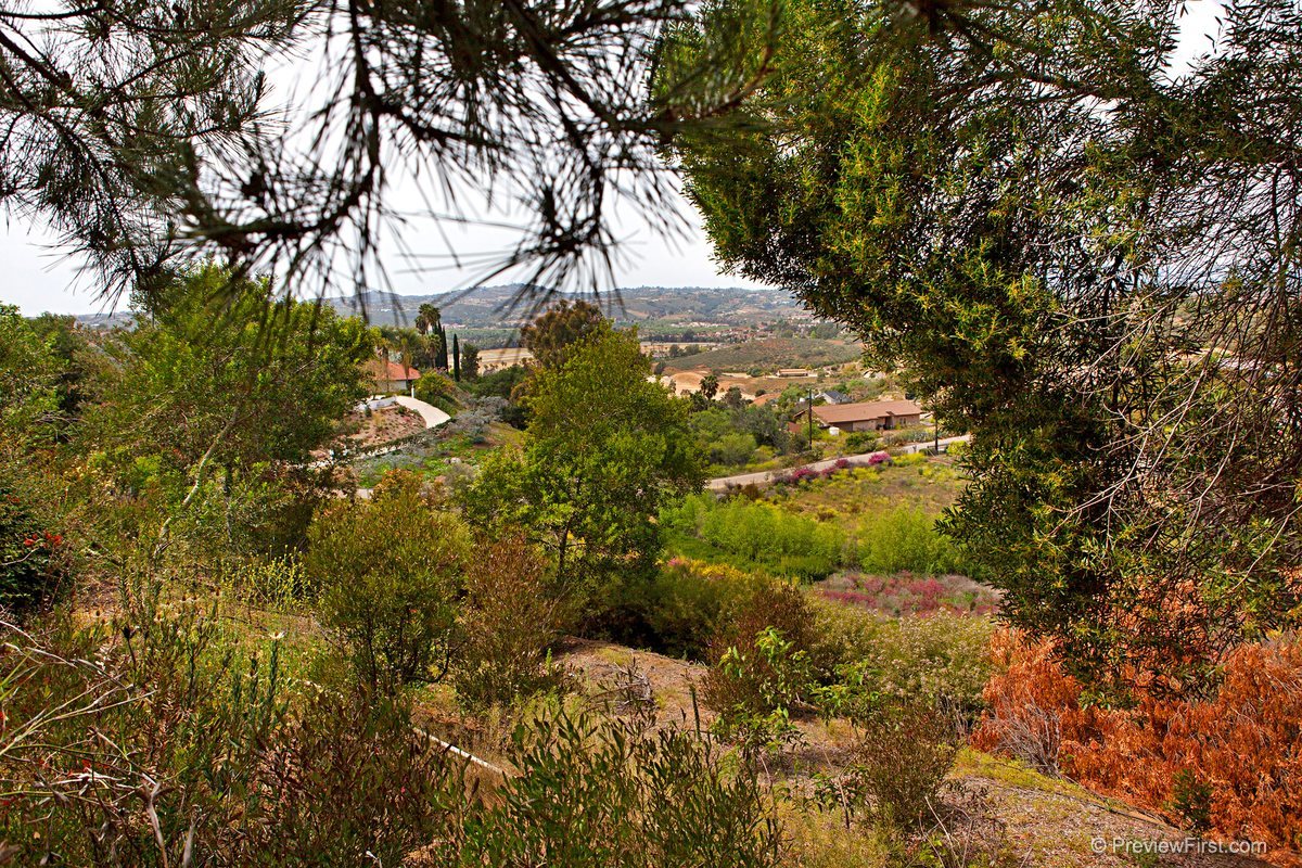 31601 Wrightwood Road Bonsall, CA 92003 - Photo 18 of 25 Gallery Image 18