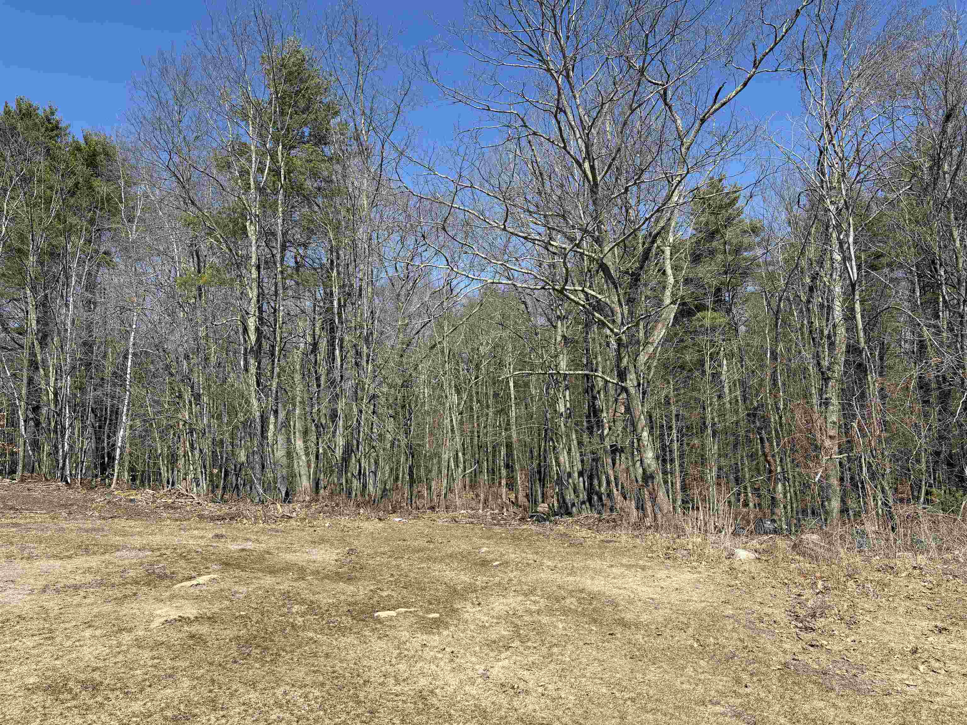 79-1 Currier Road Candia, NH 03034 - Photo 28 of 33