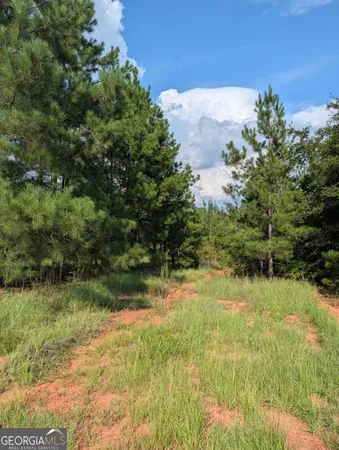 $15,000 | 0 Nelson Lane, Louisville, GA 30434