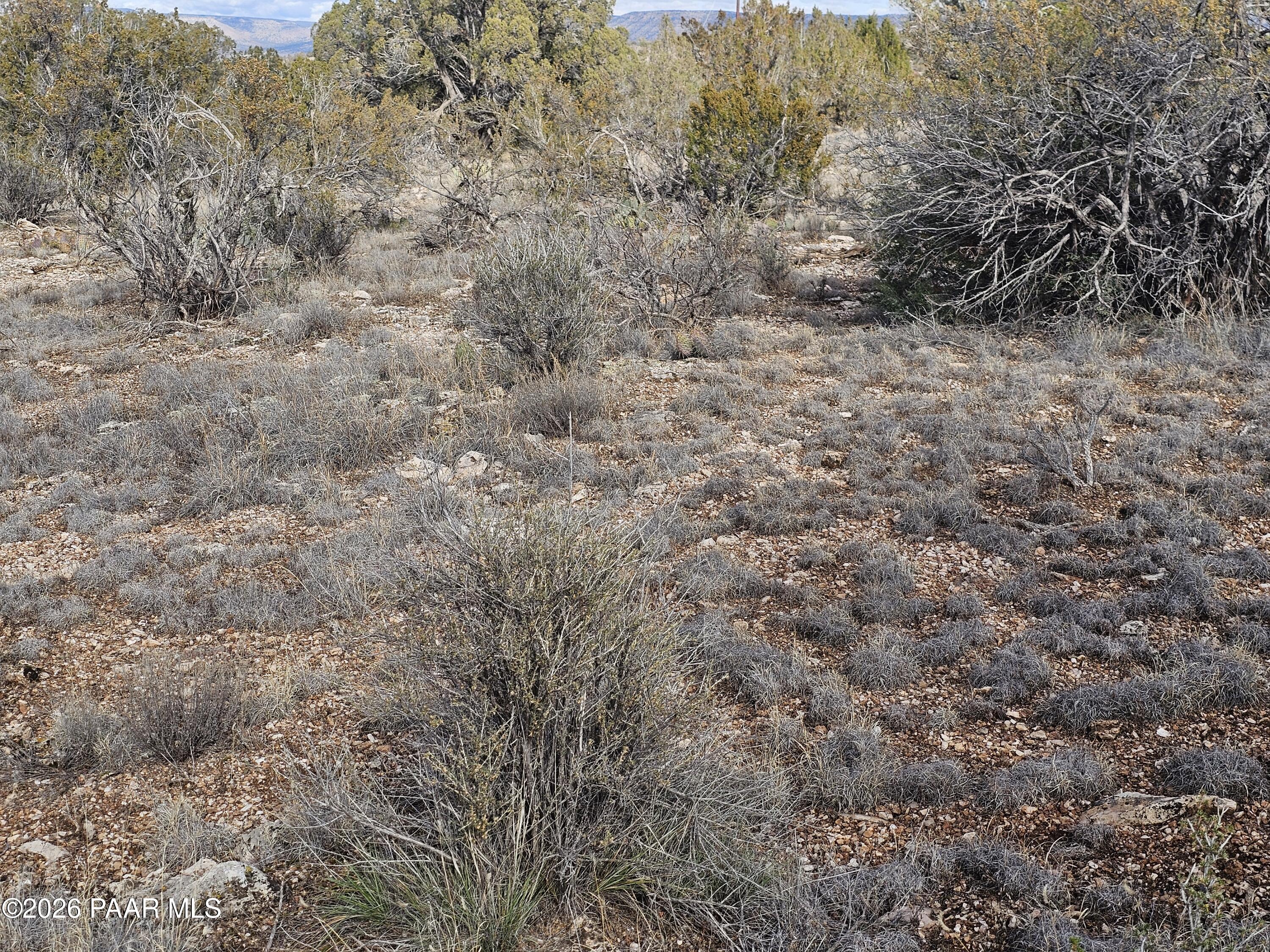 56056 North Bridge Canyon Road Seligman, AZ 86337 - Photo 11 of 11 a view of a dry yard with green space