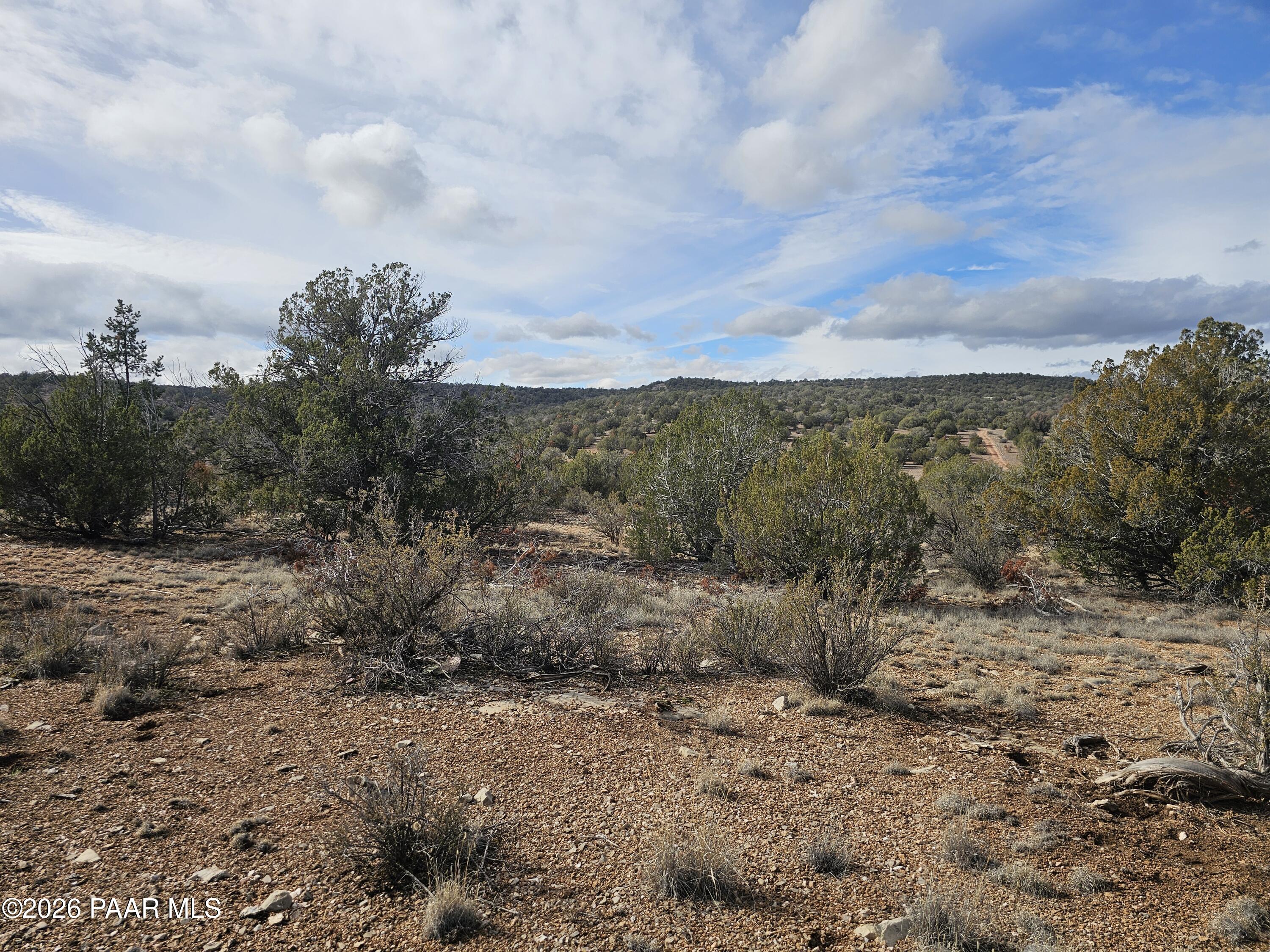 56056 North Bridge Canyon Road Seligman, AZ 86337 - Photo 5 of 11 a view of a dry yard with lots of trees