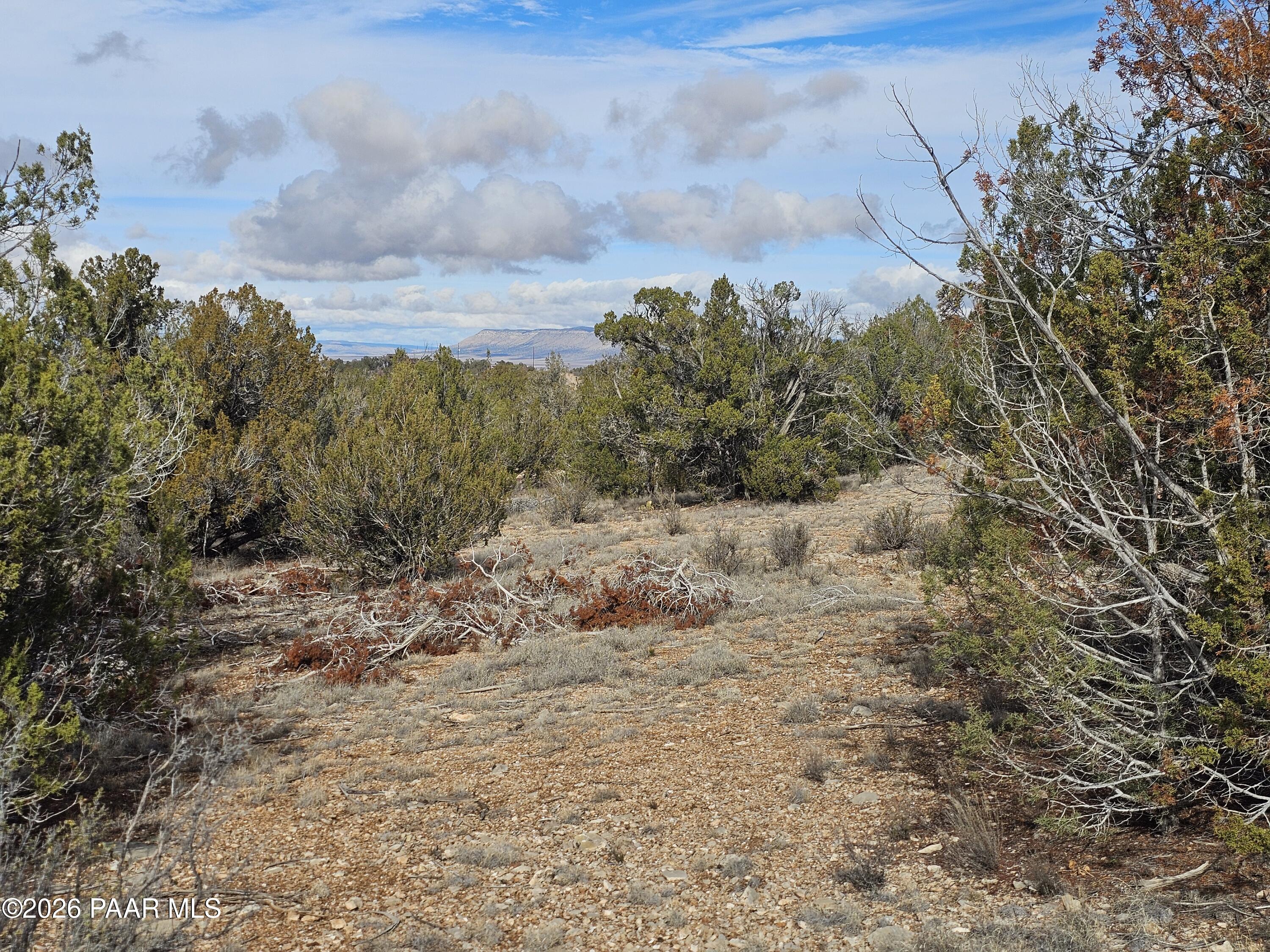 56056 North Bridge Canyon Road Seligman, AZ 86337 - Photo 7 of 11 a view of a dry yard