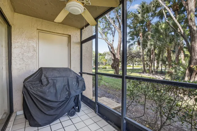 a view of a yard with plants and trees