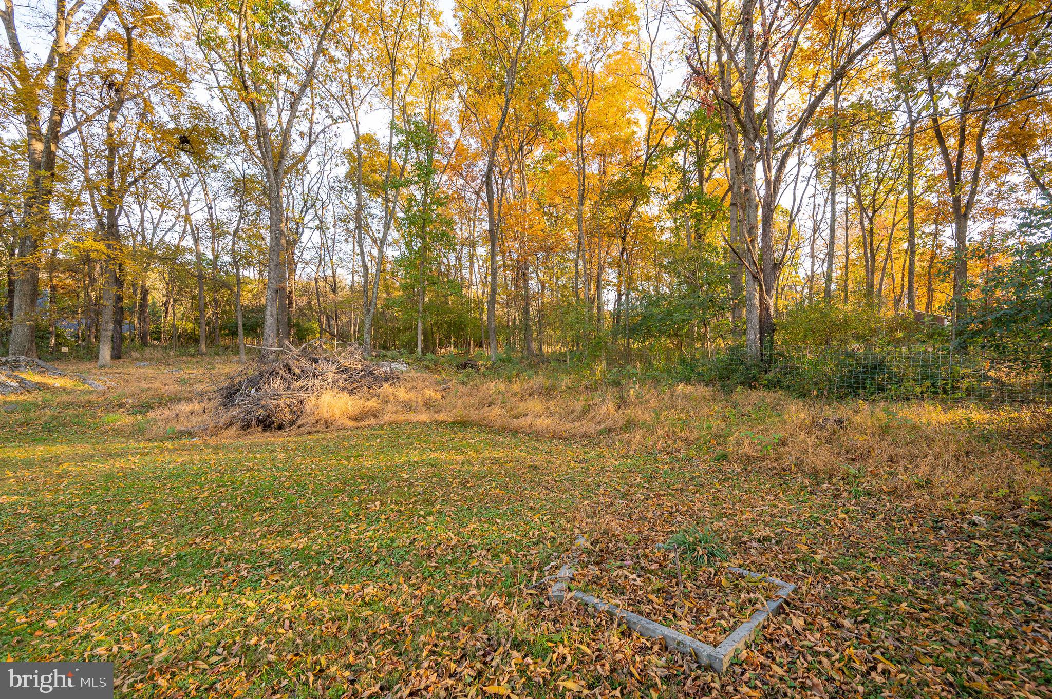 1298 Sam Mason Road Bunker Hill, WV 25413 - Photo 40 of 50 Gallery Image 40