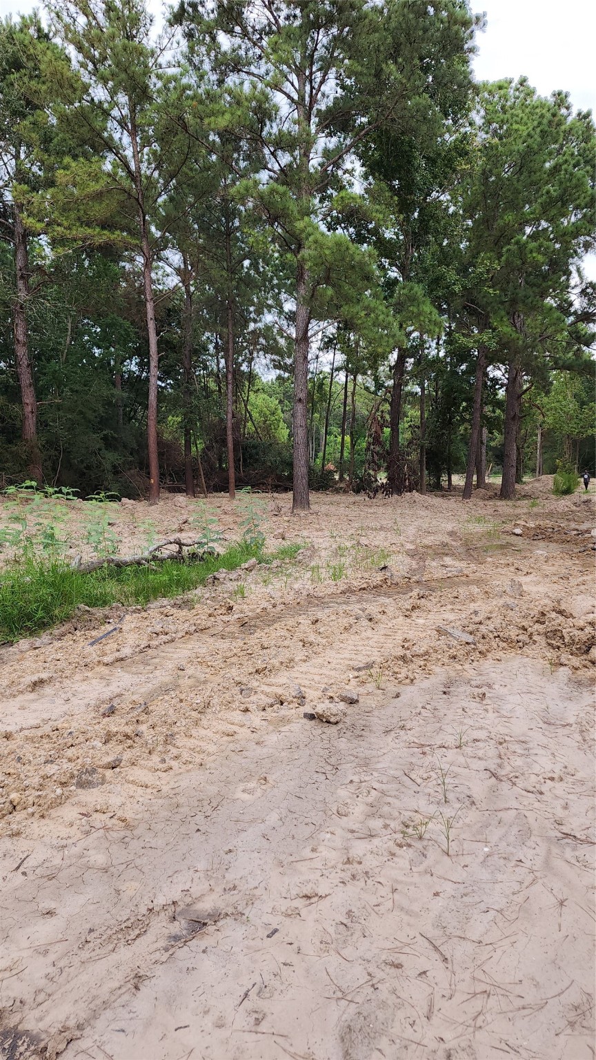 Tbd /0 West Hardy Road Houston, TX 77073 - Photo 1 of 8 a fire hydrant in the middle of a field