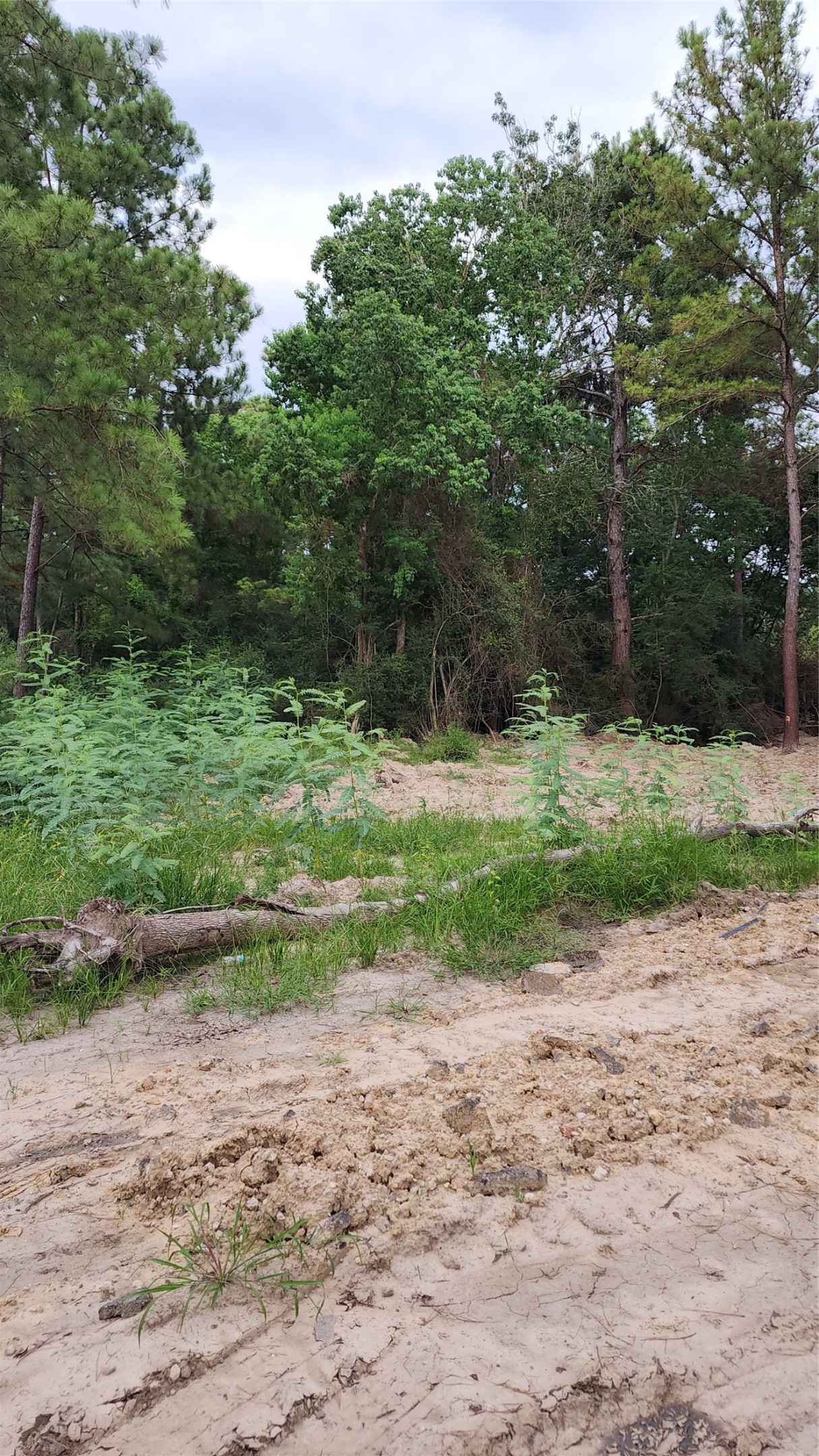 Tbd /0 West Hardy Road Houston, TX 77073 - Photo 2 of 8