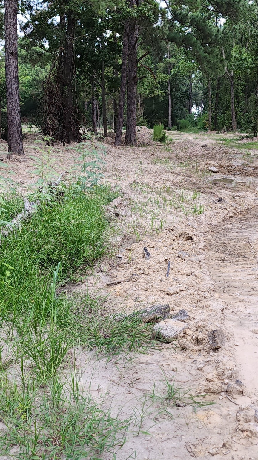 Tbd /0 West Hardy Road Houston, TX 77073 - Photo 3 of 8 a backyard of a house with lots of green space