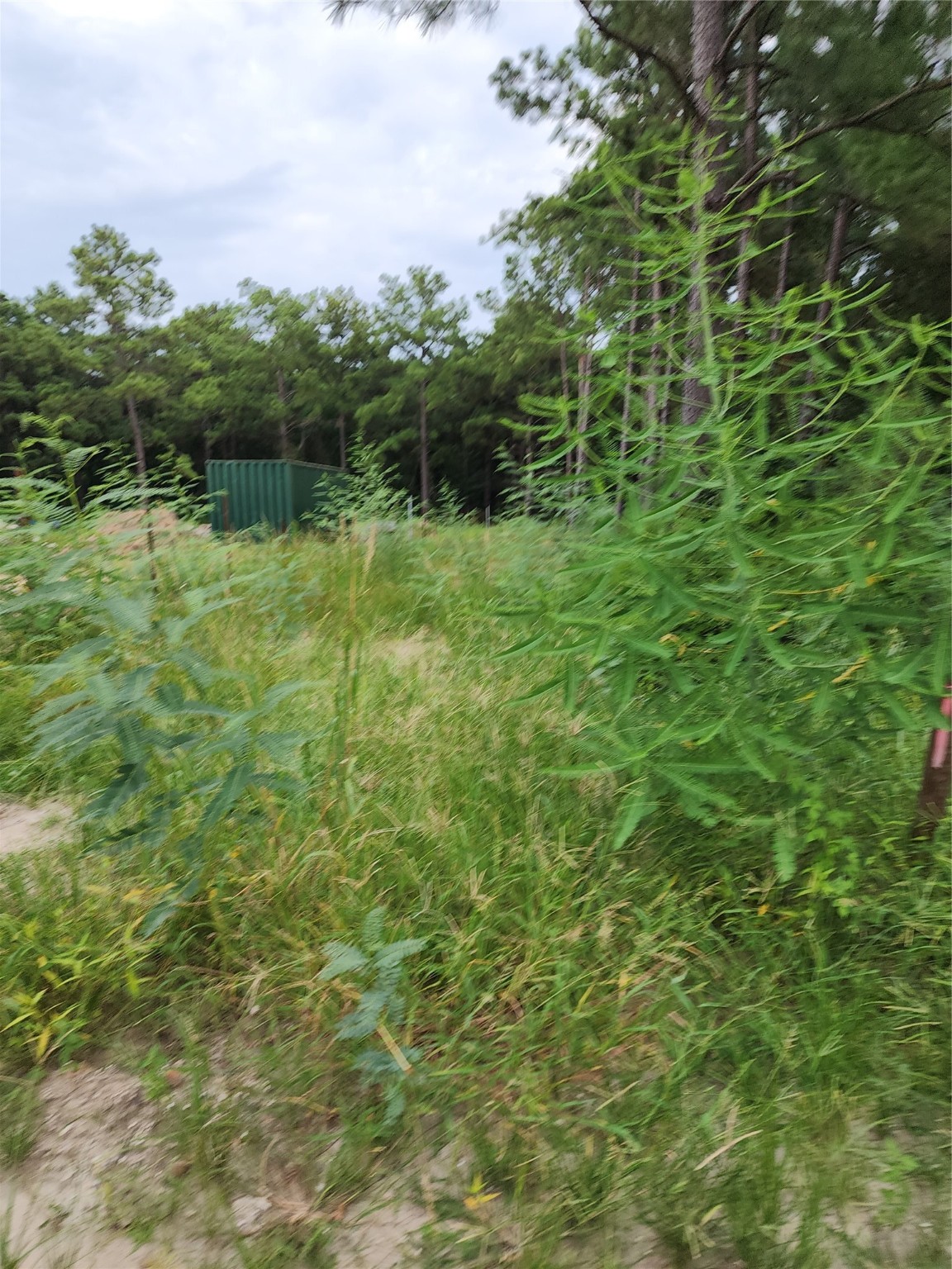 Tbd /0 West Hardy Road Houston, TX 77073 - Photo 5 of 8 a view of outdoor space and a yard