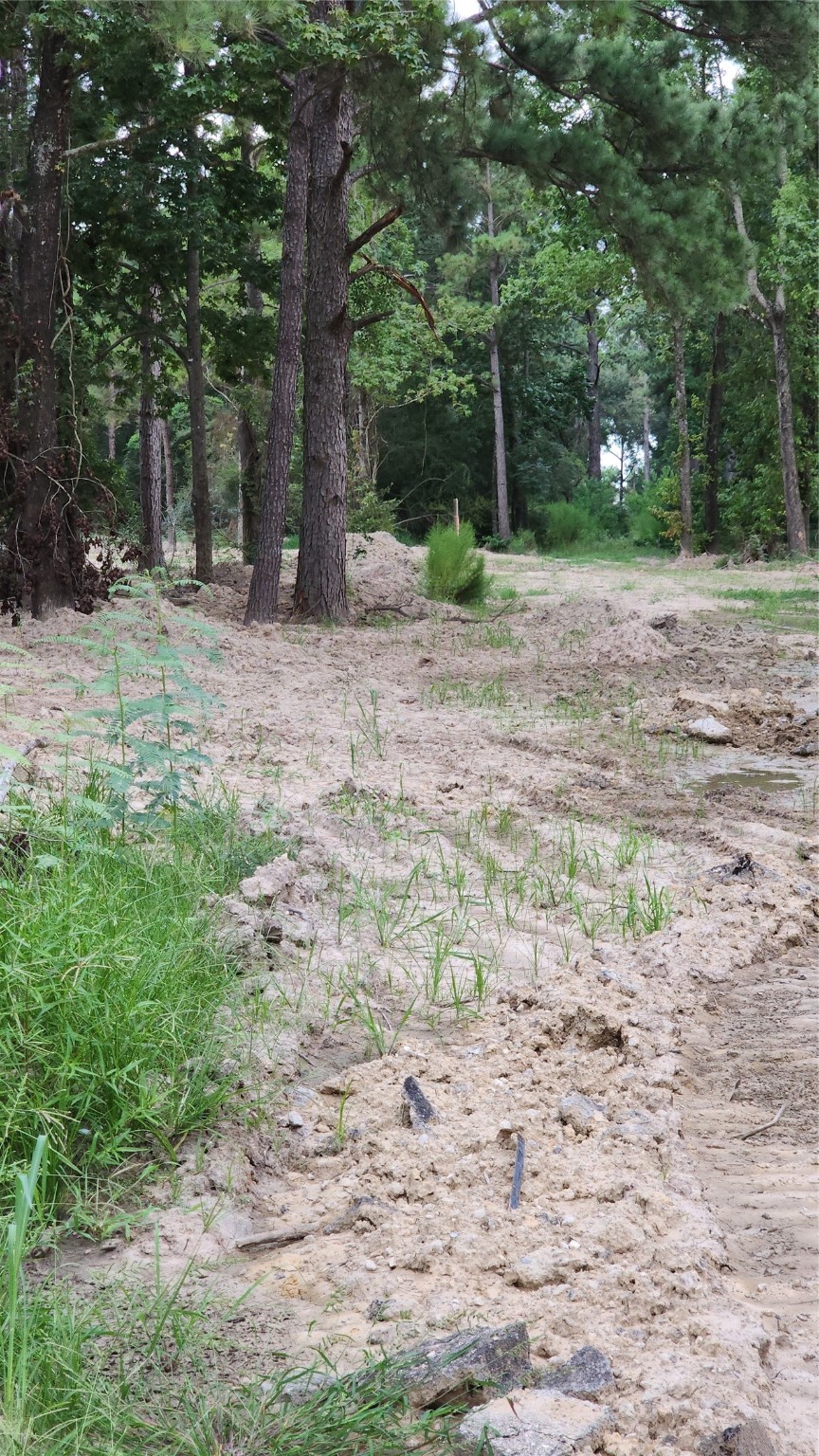 Tbd /0 West Hardy Road Houston, TX 77073 - Photo 7 of 8 a backyard of a house with lots of green space