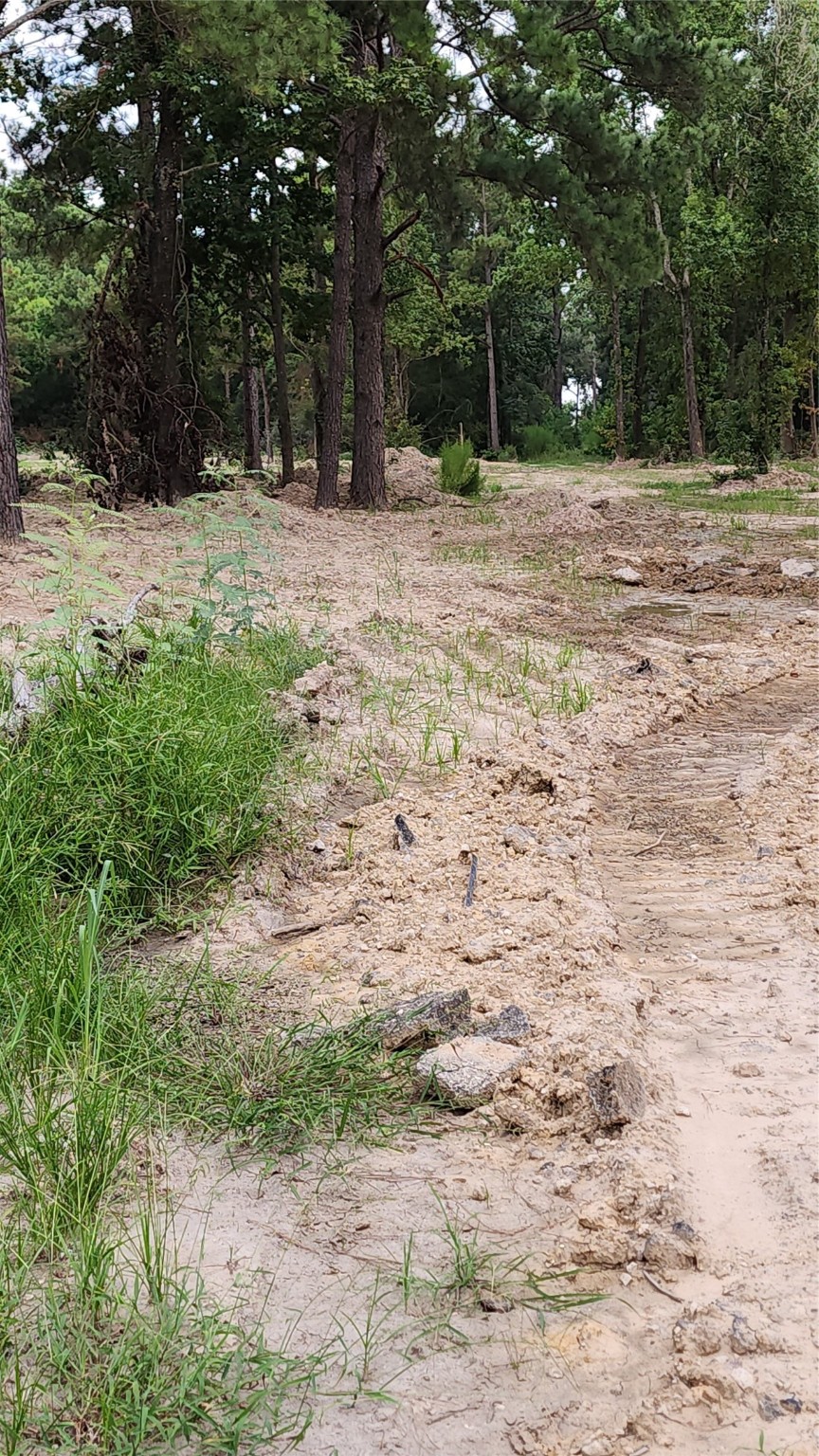 Tbd /0 West Hardy Road Houston, TX 77073 - Photo 8 of 8 a view of a yard with a tree
