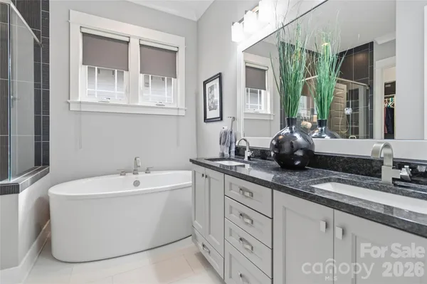 a bathroom with a sink and a bathtub