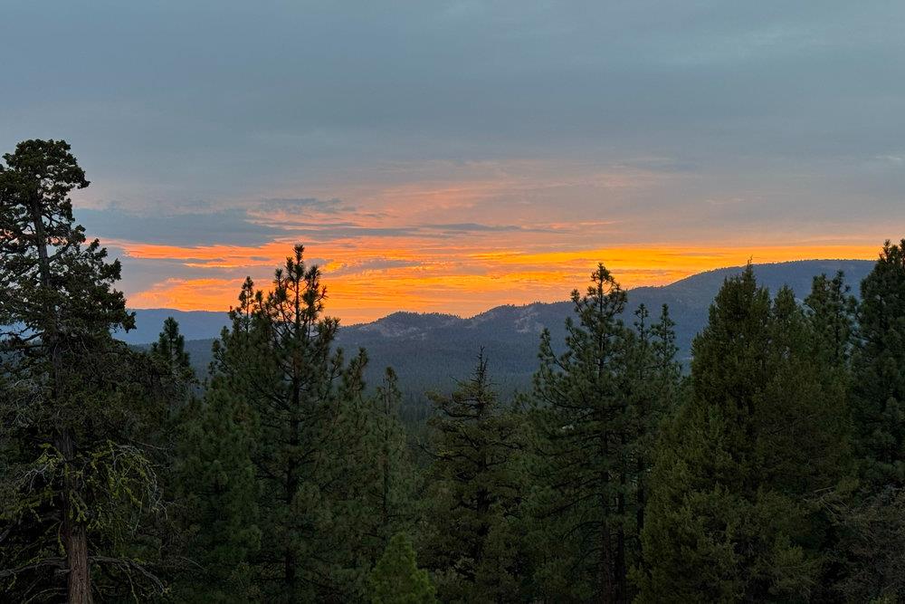 522 Night Hawk Portola, CA 96122 - Photo 44 of 54