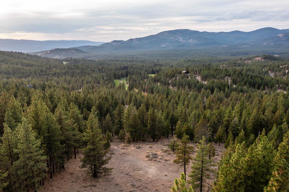 522 Night Hawk Portola, CA 96122 - Photo 50 of 54