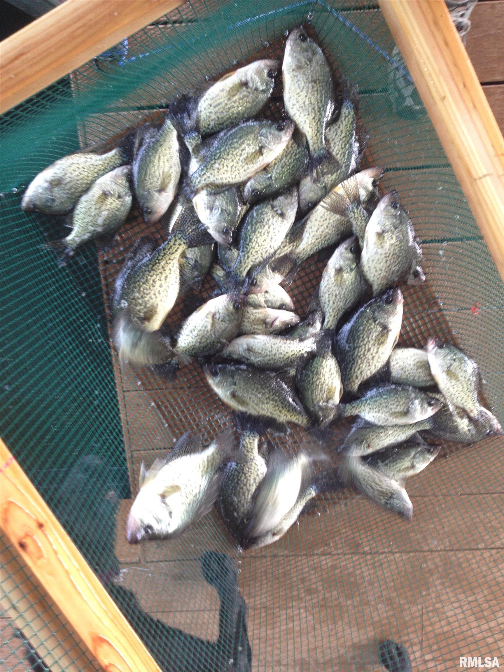 3645 Parrish Ridge Lane Goreville, IL 62939 - Photo 15 of 18