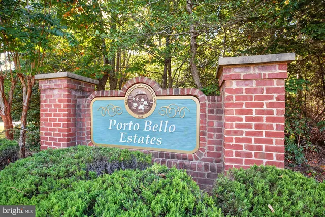 a view of a yard with plants