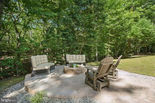 a view of a forest filled with trees