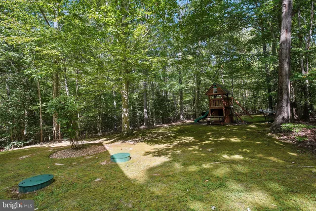 a picture of a tree in a back yard