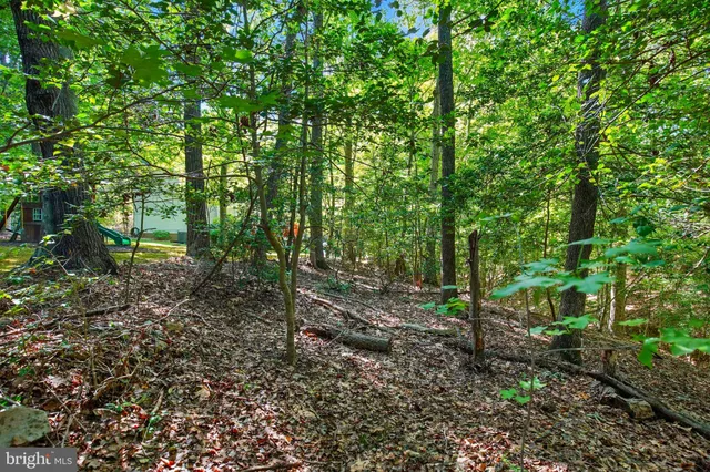a view of a large yard with lots of green space