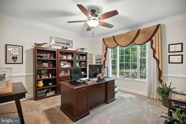 a living room with furniture a ceiling fan and a rug