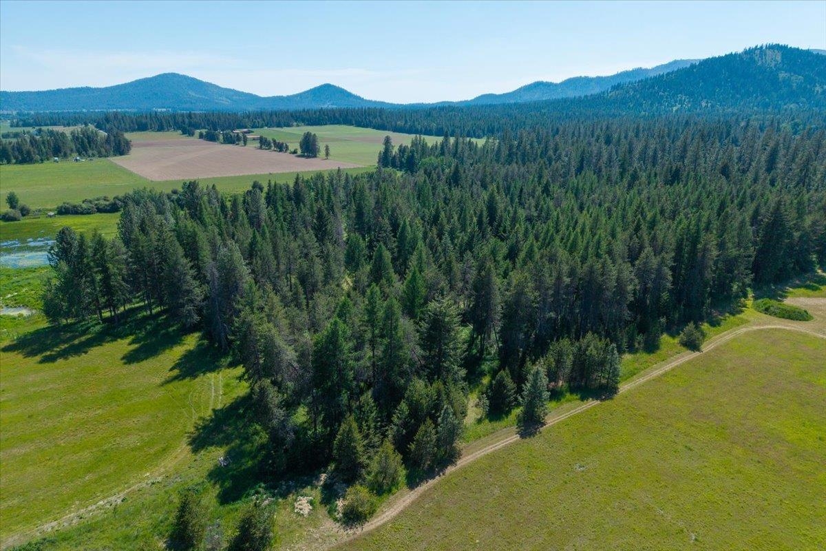 4668 Williams Valley Road Clayton, WA 99110 - Photo 42 of 44