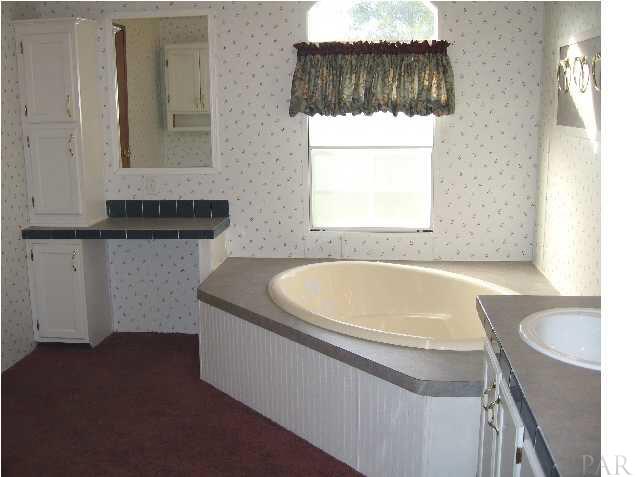 19847 Vaughn Road Seminole, AL 36574 - Photo 8 of 24 GARDEN TUB & DRESSING AREA