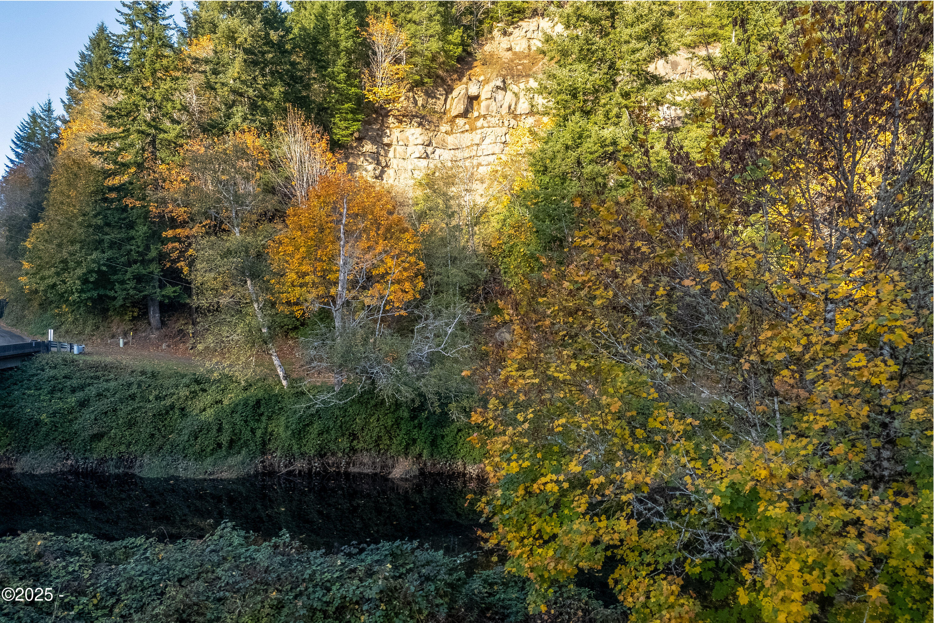 1105 Elk City Road Toledo, OR 97391 - Photo 4 of 11 Beautiful Grounds