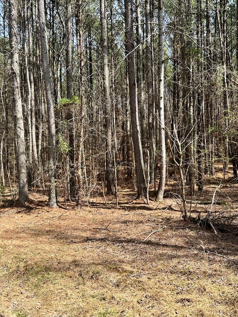 0 Southwest Autry Road Plainville, GA 30733 - Photo 3 of 6 Gallery Image 3