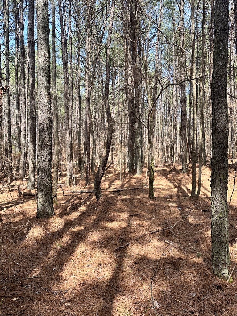 0 Southwest Autry Road Plainville, GA 30733 - Photo 4 of 6 Gallery Image 4