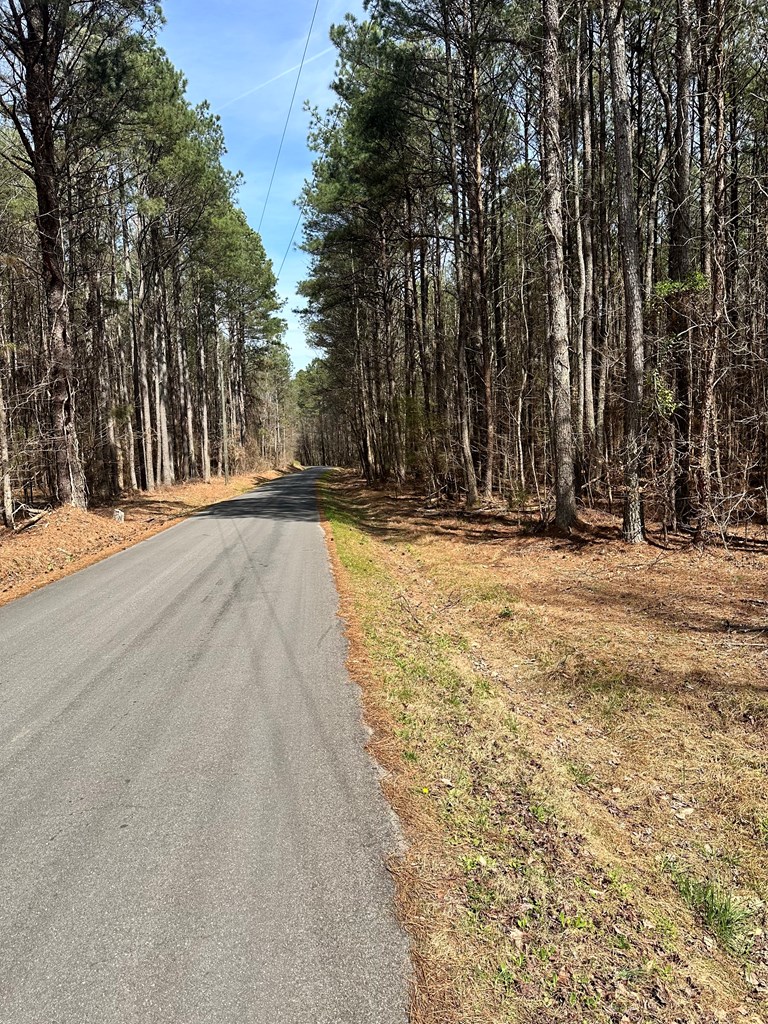 0 Southwest Autry Road Plainville, GA 30733 - Photo 6 of 6 Gallery Image 6