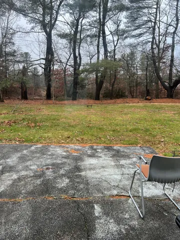 a view of yard with trees