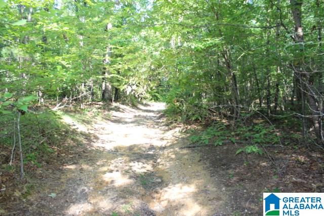 1 Benefield Gap Road Attalla, AL 35954 - Photo 24 of 50