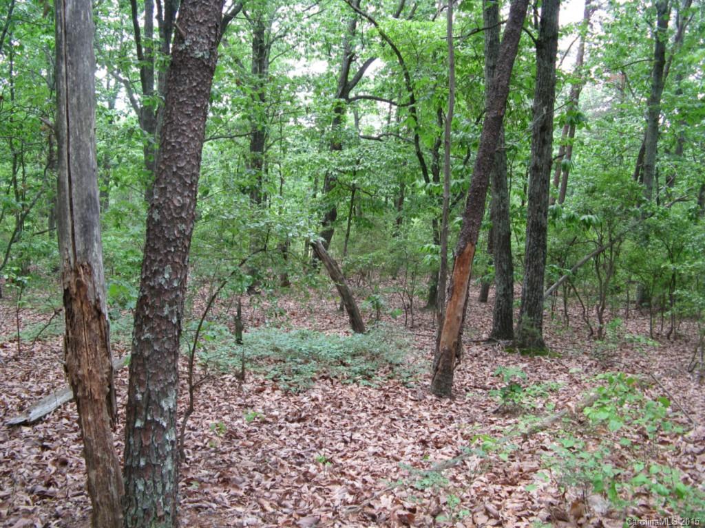 0 Rugged Hill Road, Unit 4 Maiden, NC 28650 - Photo 3 of 5 Gallery Image 3
