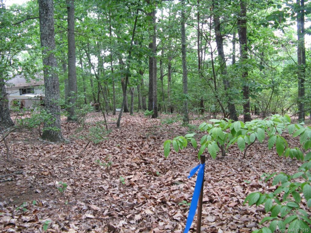0 Rugged Hill Road, Unit 4 Maiden, NC 28650 - Photo 4 of 5 Gallery Image 4