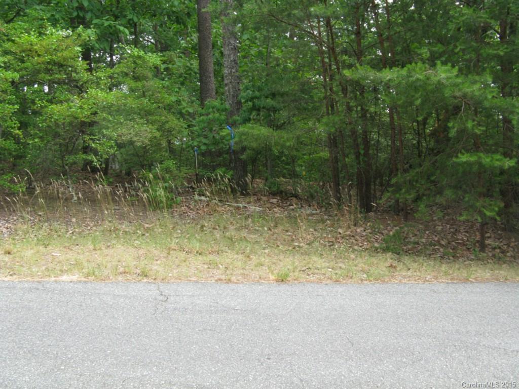0 Rugged Hill Road, Unit 4 Maiden, NC 28650 - Photo 5 of 5 Gallery Image 5