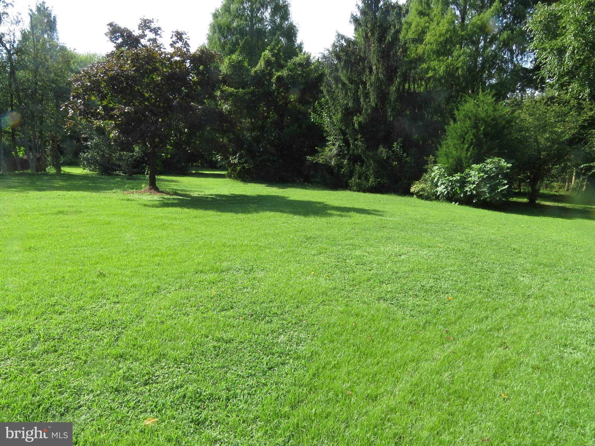 8026 Dogwood Road Baltimore, MD 21219 - Photo 7 of 8 Yard