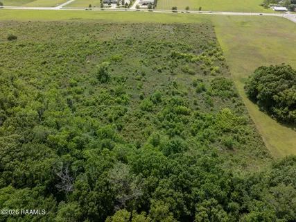 $890,000 | 450-blk South Domingue Avenue, Lafayette, LA 70506