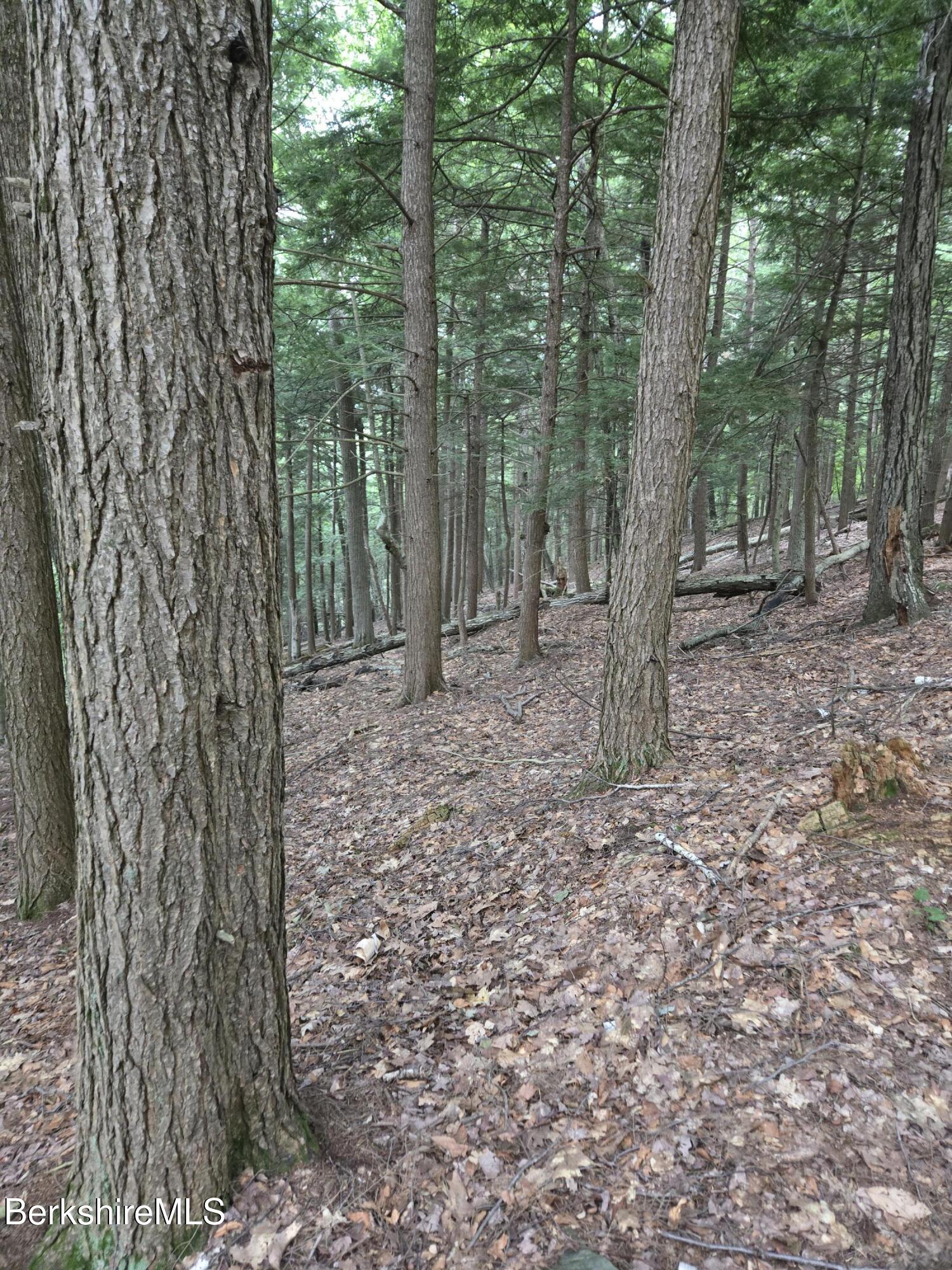 0 Monroe Road Drury, MA 01343 - Photo 8 of 17 1000021827