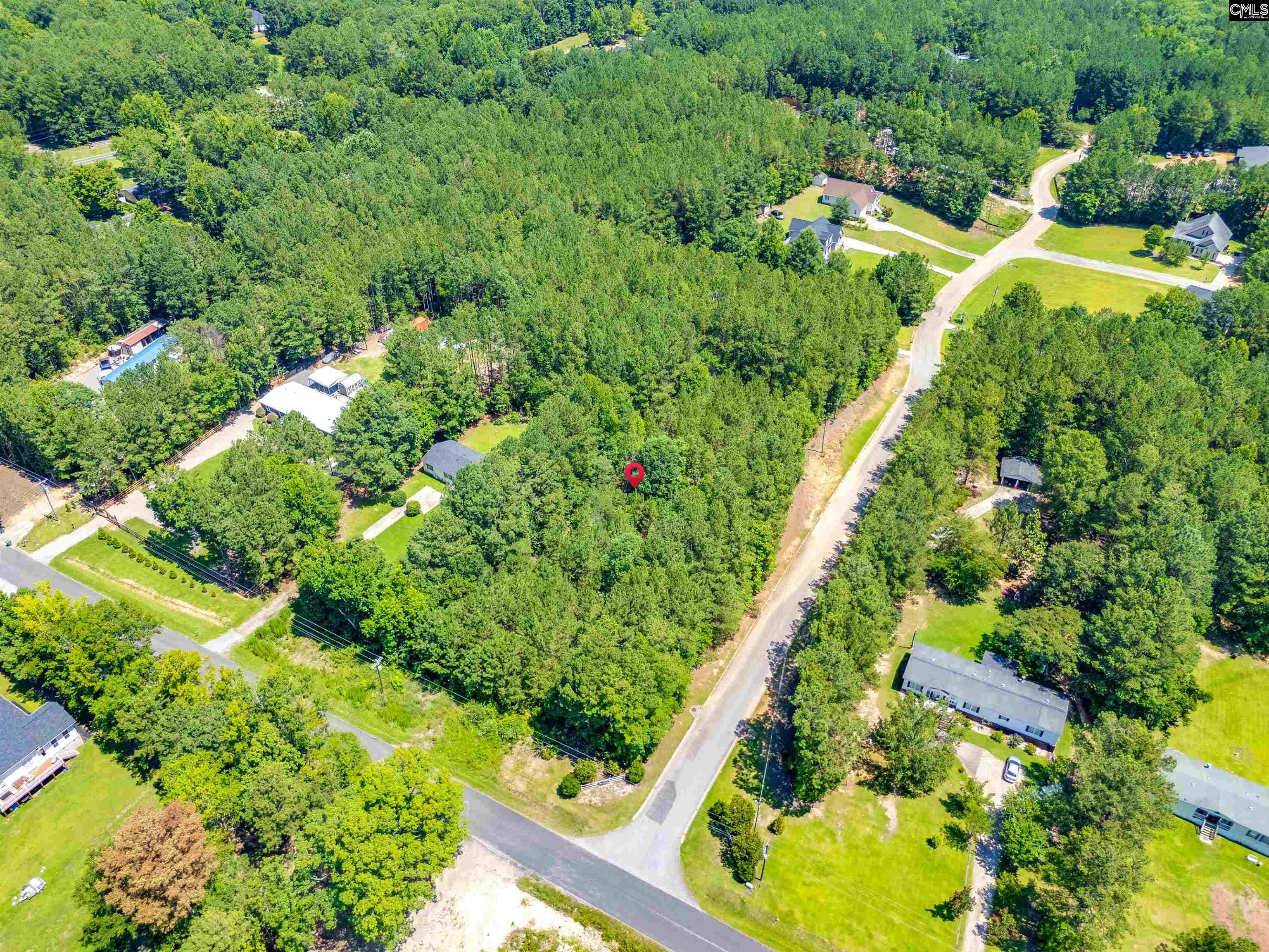 1021 State Rd S-40-1692 Blythewood, SC 29016 - Photo 3 of 12