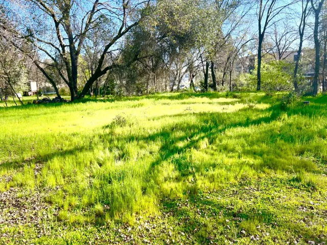 a view of swimming pool with yard