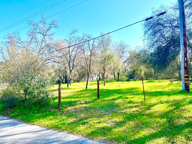 a view of a yard with a slide