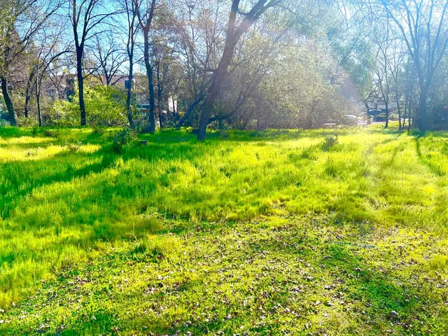 a view of yard with swimming pool and trees