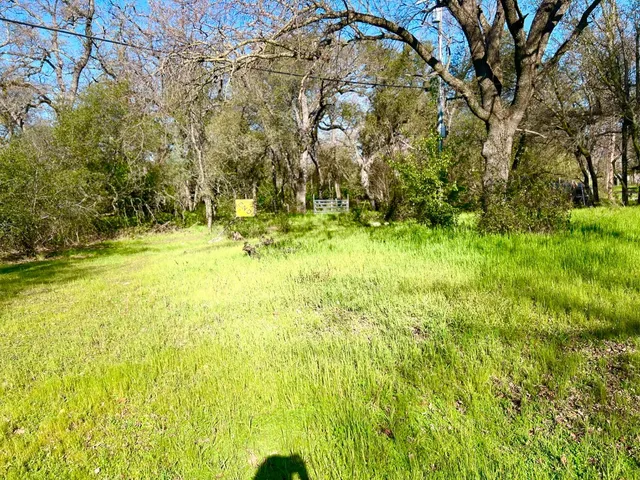 a view of yard with green space